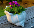 Conch Shell Ceramic Planter Vase