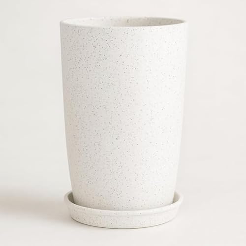 Pot for Plants Big Size