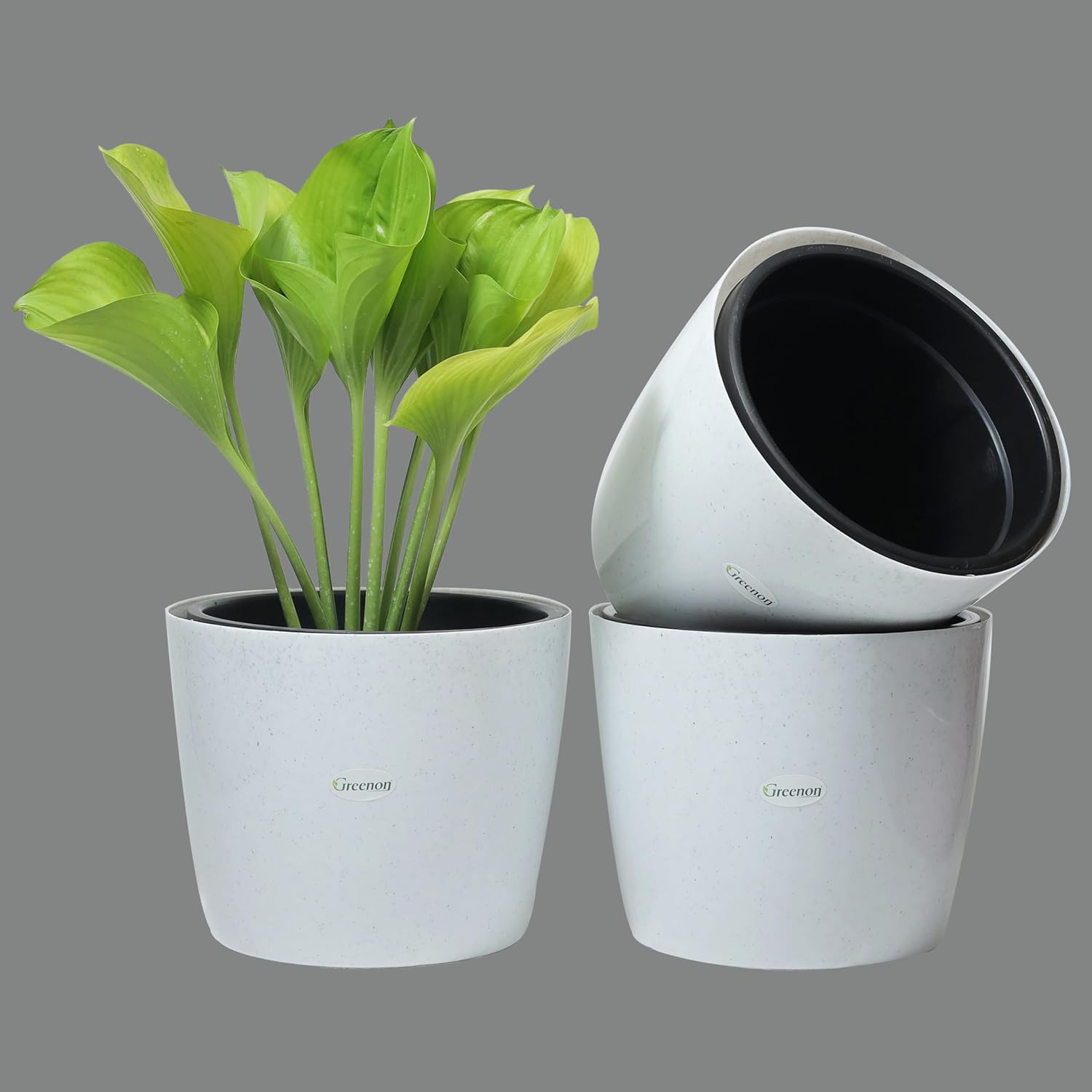 Self Watering Plant Pots