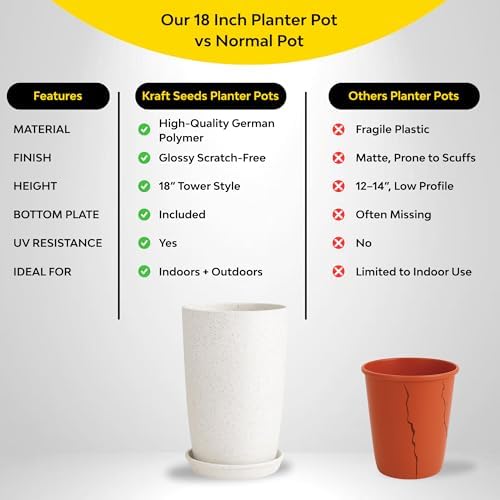 Pot for Plants Big Size