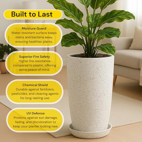 Pot for Plants Big Size