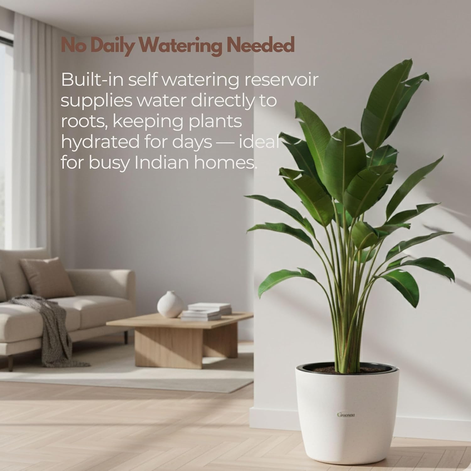 Self Watering Plant Pots