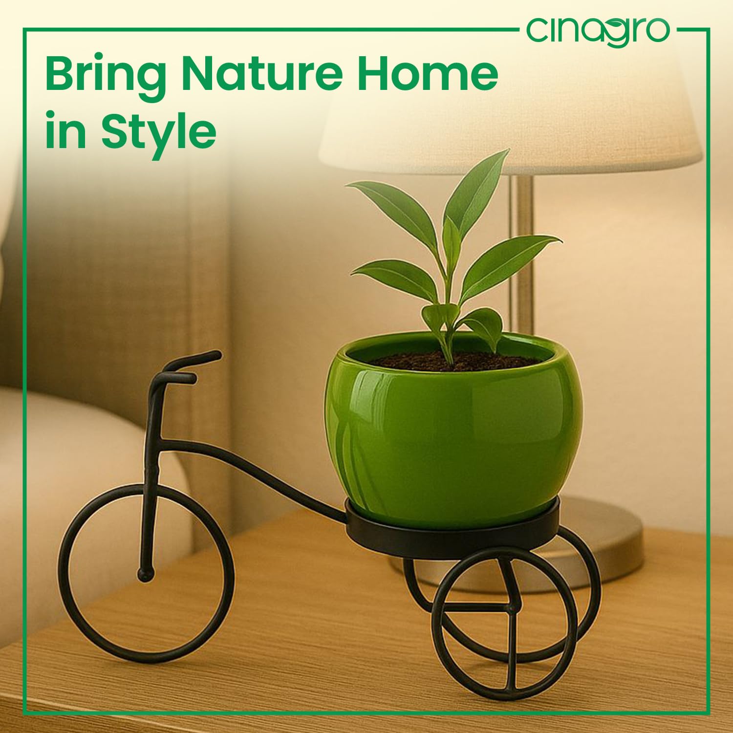 Cycle-Shaped Metal Plant Stand