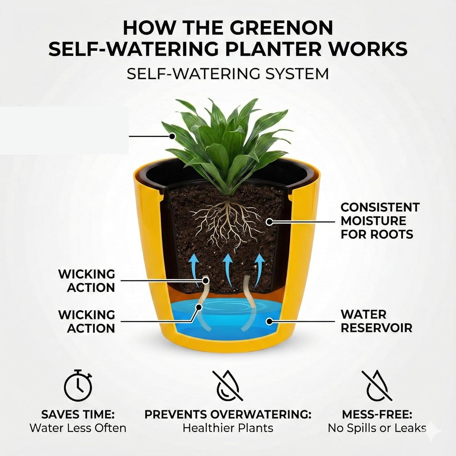 Self Watering Plant Pots