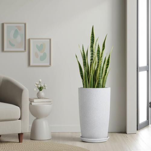 Pot for Plants Big Size